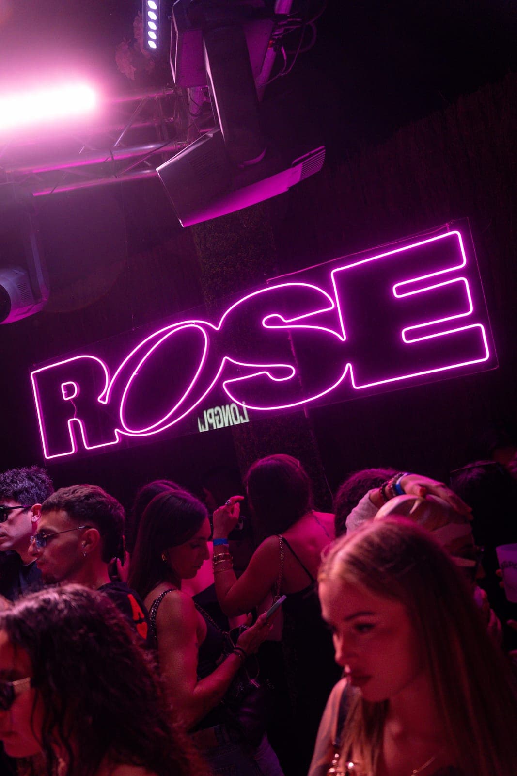 Rose x Longplay 81